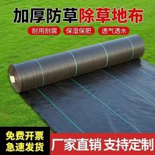 除草布园艺地布果园果树打孔切片防草布透水透气加厚盖草布防草布