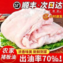 新鲜猪板油猪油猪肥油荤油白油猪大油新鲜冷冻肥膘出油率高