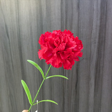 2025滨֧ܰҾӻcbˇ҃Ȕ[l