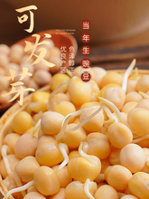 5㶹 rԷN㶹㶹ɰlѿؑcСsZ