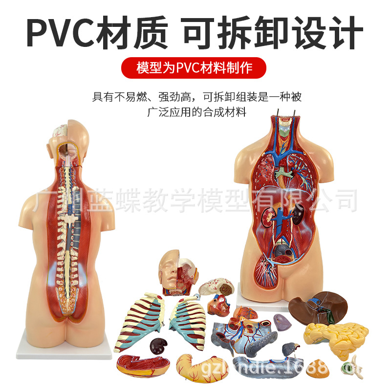 85CM��������ϵͳ����ģ�� ҽѧ ���� ���������������ٽṹ20��