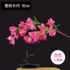 Encrypted Triangle Mei Meihong