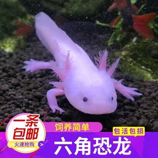 ���ǿ����~��ˮ�^�p�~ϔ�ˮ�匙����w��������ˮ���B�׻�W�t�~