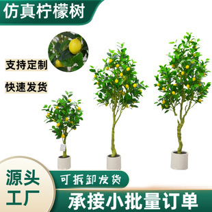 ֲʘԷb҃ؽӘ[b٘Gֲ辰