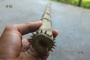 �ķ����� ���� ���� ��������