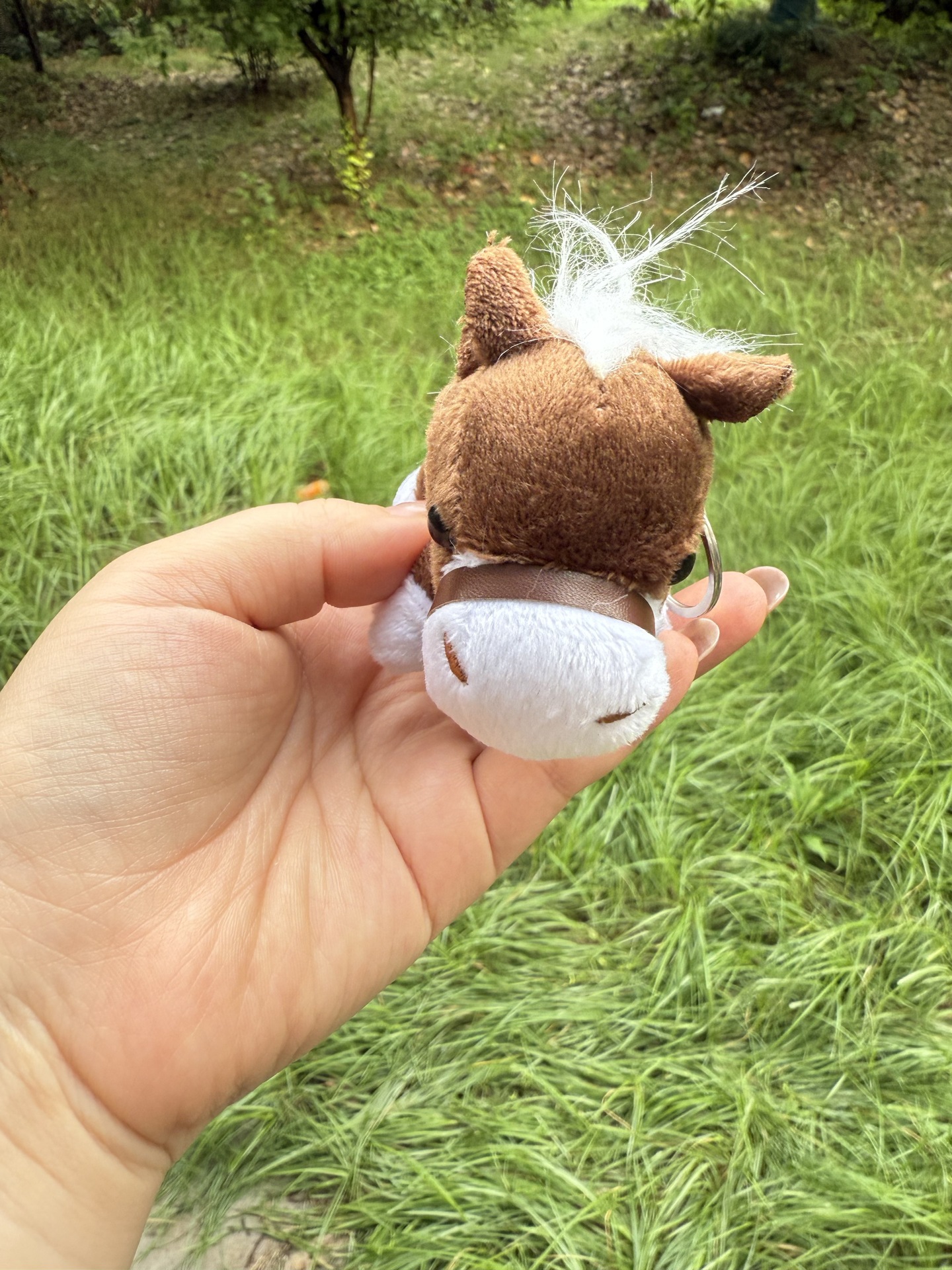 1c1247e6-d2c3-4d4e-bfb1-6e5220