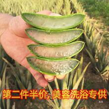 �����������J�C����Ժ���w���ÿ�ʳ���J�C�ӡ���zֲ�������~Ƭ