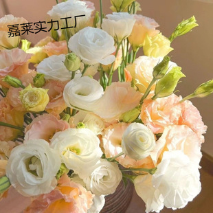 �����������ֱ�l���r��۹���đ���滨��������l�҃�ˮ�B�r��