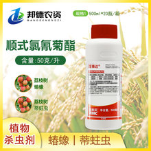 ������ �����_ �ʽ������� ��֦������x����rș���x��500ml