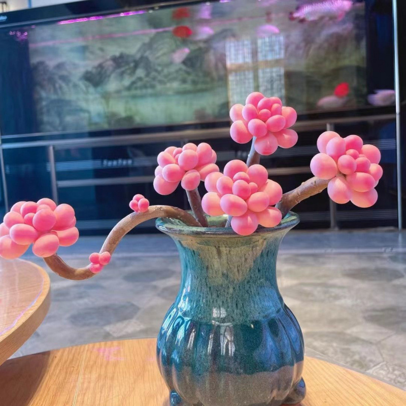 老桩桃蛋多肉植物粉红室内阳台好养大叶片肥嘟嘟盆栽绿植花卉