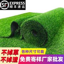 ƺ̺ϾGֲٲ݉|׃@b̨Ƥ䁉|