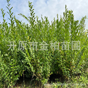 �|��ˮϞ�G�h����ˮϞ��1-2��ˮ�G�hģ�y����ľ�|��ˮϞС������