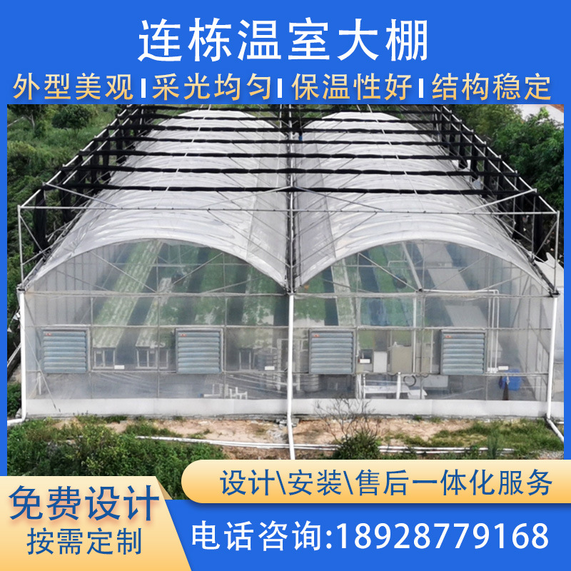 厂家供应连体温室大棚蔬菜花卉培育种植大棚连栋塑料大棚设计安装
