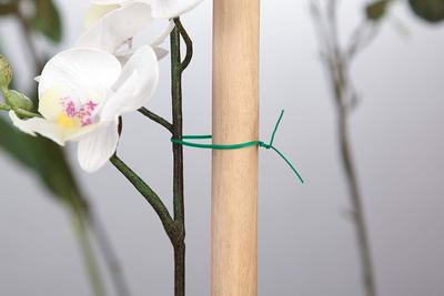 跨境園藝包塑紮線發泡線橡膠線蔬菜藤蔓類植物捆綁帶鐵絲紮線紮帶