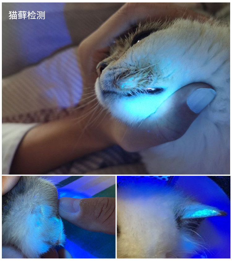 High-power Woods' purple flashlight 365nm UV identification tobacco and wine anti-counterfeiting fluorescent agent cat ringworm detection lamp