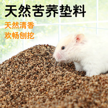 冠之亚仓鼠苦荞麦砂金丝熊豚鼠刺猬夏季降温专用除臭垫料小仓鼠