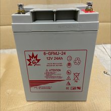 赛博阳光蓄电池6-GFMJ-65 赛博阳光蓄电池12V65AH太阳能胶体电池