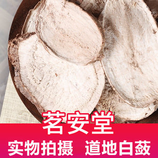 ���l��ș��ɢ�b500g���` �F؛������؛���Ӱ�ԭ�ϟo����`Ƭ