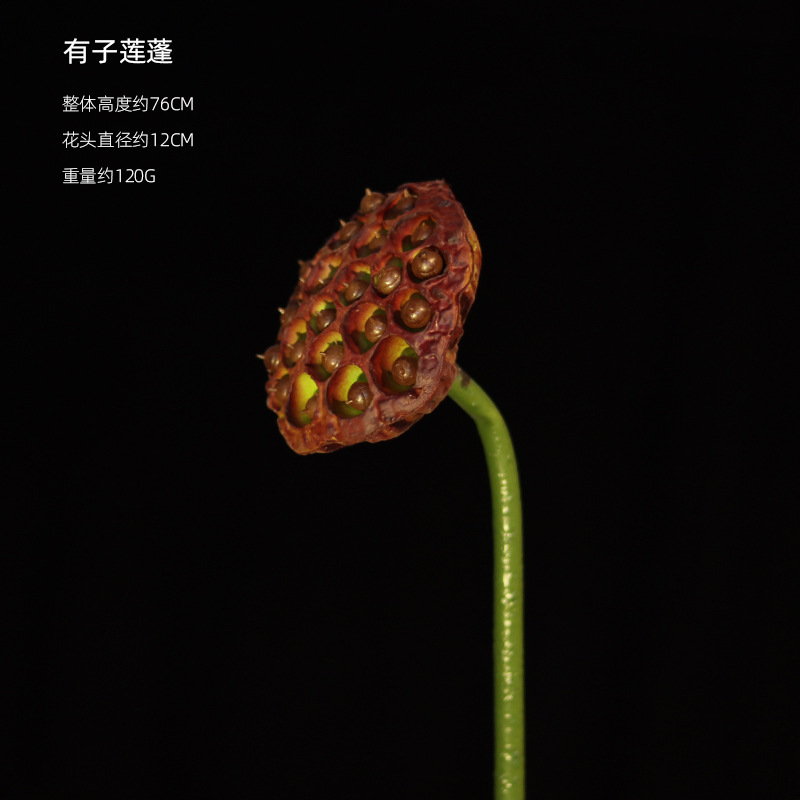 El Lotus-3