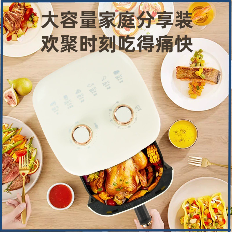 Donate 5L Zhigao Fry Pot 大容量 空气炸锅 高温加热 电炸锅 多功能 炸鸡 炸薯 条