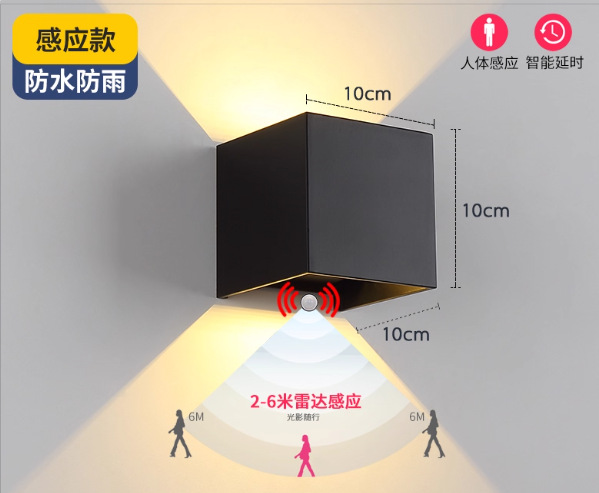 Motion sensor light - black housing 6w - plug-in model