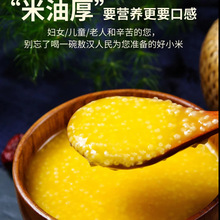 ��2025��10�����ס����h�SС�׳�僞�|����������s�Z���x��