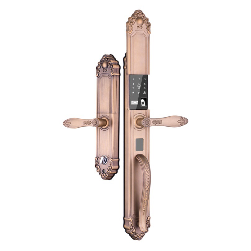 Cerradura de huellas dactilares, puerta de seguridad para el hogar, puerta de villa, patio, cerradura inteligente al aire libre, cerradura inteligente deslizante automática de aleación de zinc