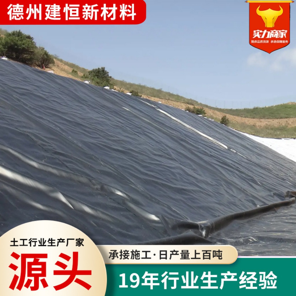 聚乙烯土工膜1.0mm污水处理厂蓄水池防渗人工湖hdpe加厚土工膜