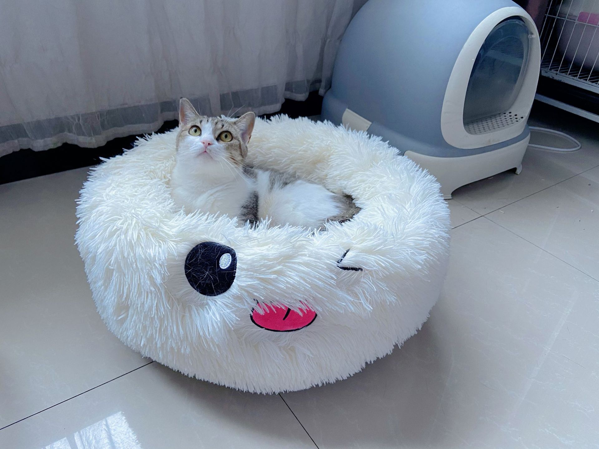 微信图片_20210628202243