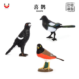 Simulation Bird Bird animal solid model Magpie guest Magpie Bird children's early education plastic toy ornaments