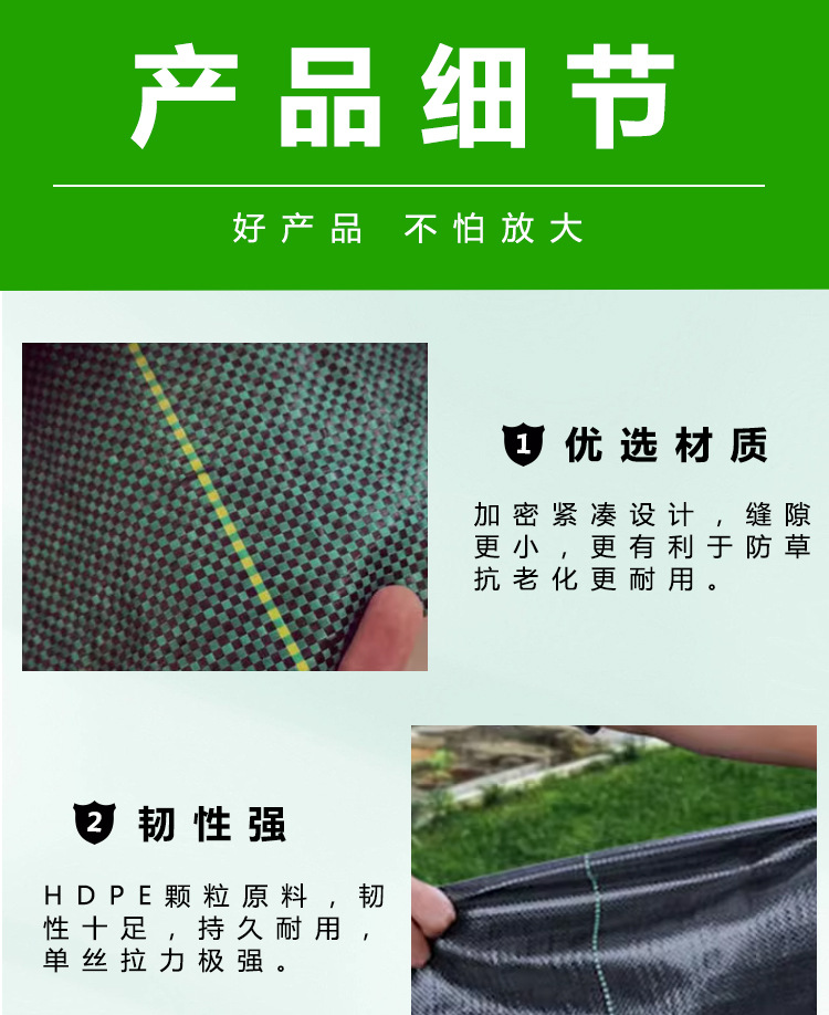 详情5