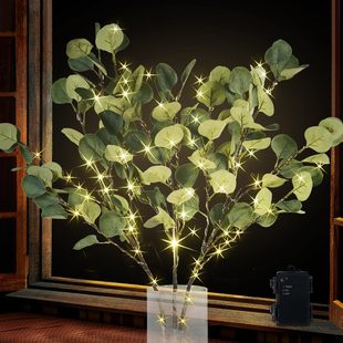36�wLED�������X�~�~����ů�ׁ��R�d����}�Q�b��ȼ����~늳؟�