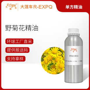 Ұ�ջ�/���׾վ��� Chrysanthemum Indicum �η�����ԭ�����l�{��