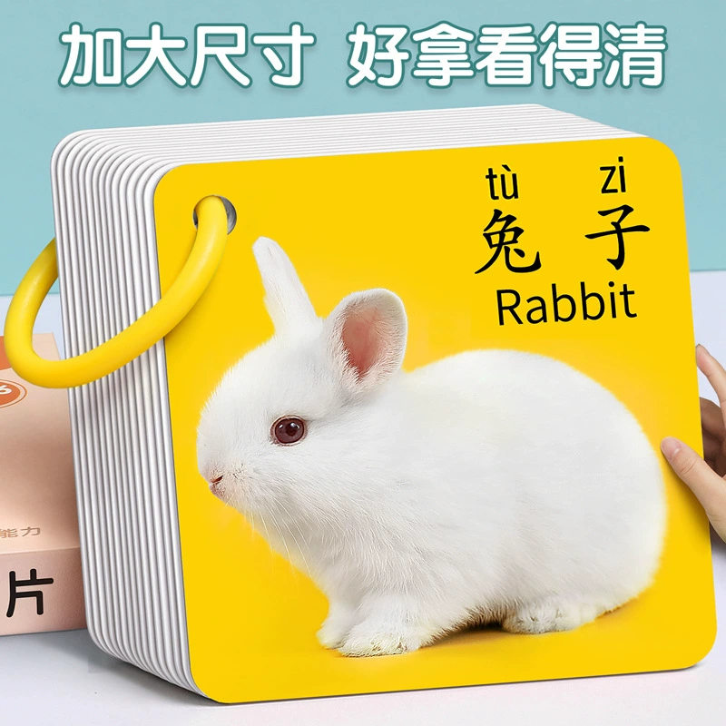 Карты животных Раннее образование познавательное просвещение Детская грамотность Детские 0-3 года