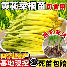 �S���˸���ʳ���S���˷N���ᘲ˽�ᘻ��������N�ѬF�ڬF�l���ɻ�