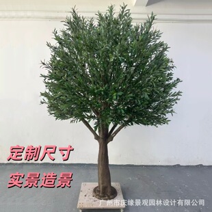 �����ϙ���������ϙ��Ƶ��쾰�b��҃���ͥԺ�̈������ϙ��