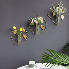 北欧创意铁艺壁挂免打孔电视背景墙壁装饰ins风客厅绿植水培花瓶