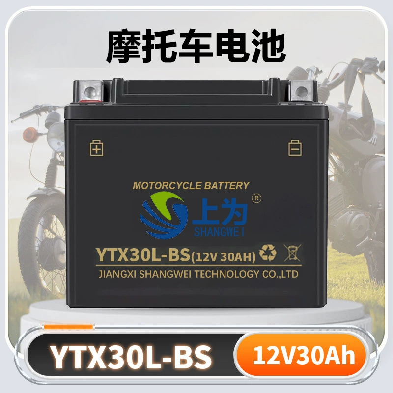 Мотоциклетный аккумулятор YTX30L-BS, необслуживаемый, 12В 30Ач, свинцово-кислотный, для различных моделей мотоциклов