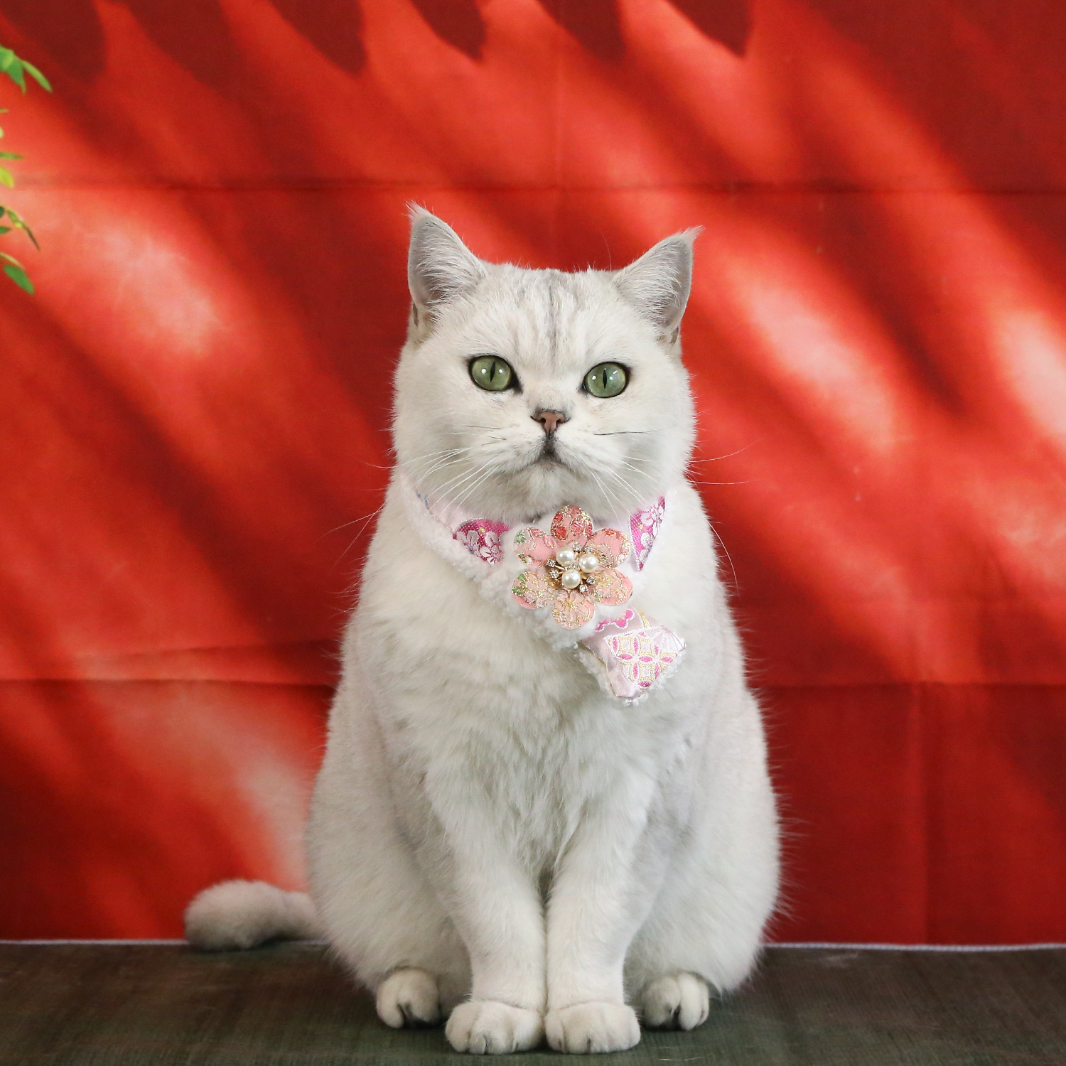 Mascotas bordadas de estilo chino peluche collar gatos cachorros flores de perlas para celebrar Año Nuevo bufandas cálidas toques image 5