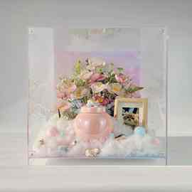 宠物亚克力透明骨灰盒收纳防尘架场景展示柜实木照片相框猫狗墓地