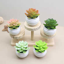 多肉小盆景綠植塑料花裝飾擺件花人造多肉餐桌花迷你盆栽