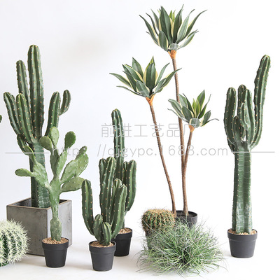 simulation Cactus Desert style Botany Landscaping collocation Dragon store shop decorate Decoration