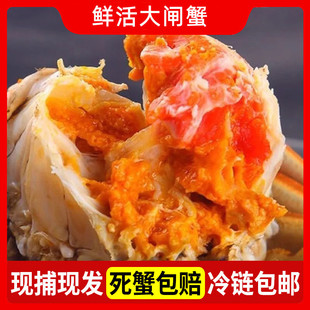 �Fُ���l�F�����K���lз�r���з����M�S������ɴ�зĸз���]