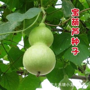 �����J�N��ʳ�ò˺��J�߲˷N�Ӵ����N����J�N�ӻ��N�Ӵ����N�׻�