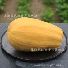 lzgϷNļϷNӽϷN̨߲˷N|r