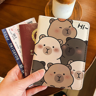 Kapi Bala Passbook Holder Certificate Bag Protective Cover Multi-functional Card Bag Portable Storage for Overseas Travel