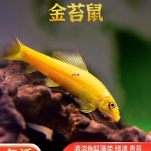 ��̦���^�p�~�����С�͟Ꭷ���R�~���幤�ߵ�ˮ�坍�S���ȸ�~