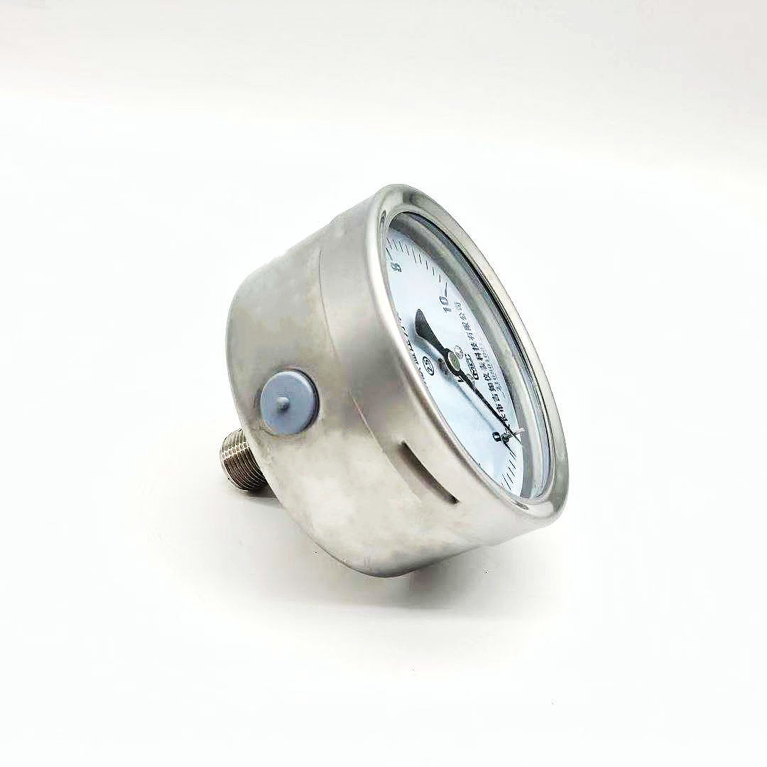 YE-100Z不锈钢膜盒压力表 型号齐全 欢迎选购