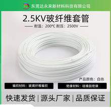 |ݸSzwSϨ2500Vw܃wz^׹ܷo