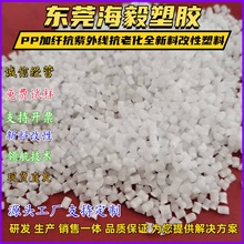 PP���w �����⾀ ���ϻ�ȫ���ϸ�������pp��??���ԏ��Ⱥ��͟���